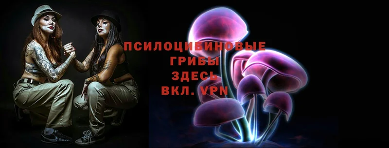 Галлюциногенные грибы Magic Shrooms  Великие Луки 